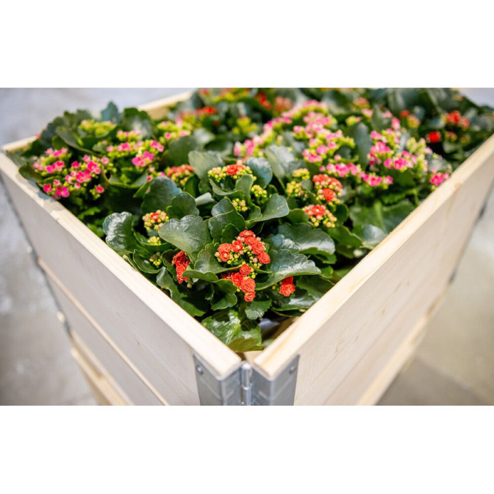 PALLEKARM SPESIAL 800X400MM NATUR