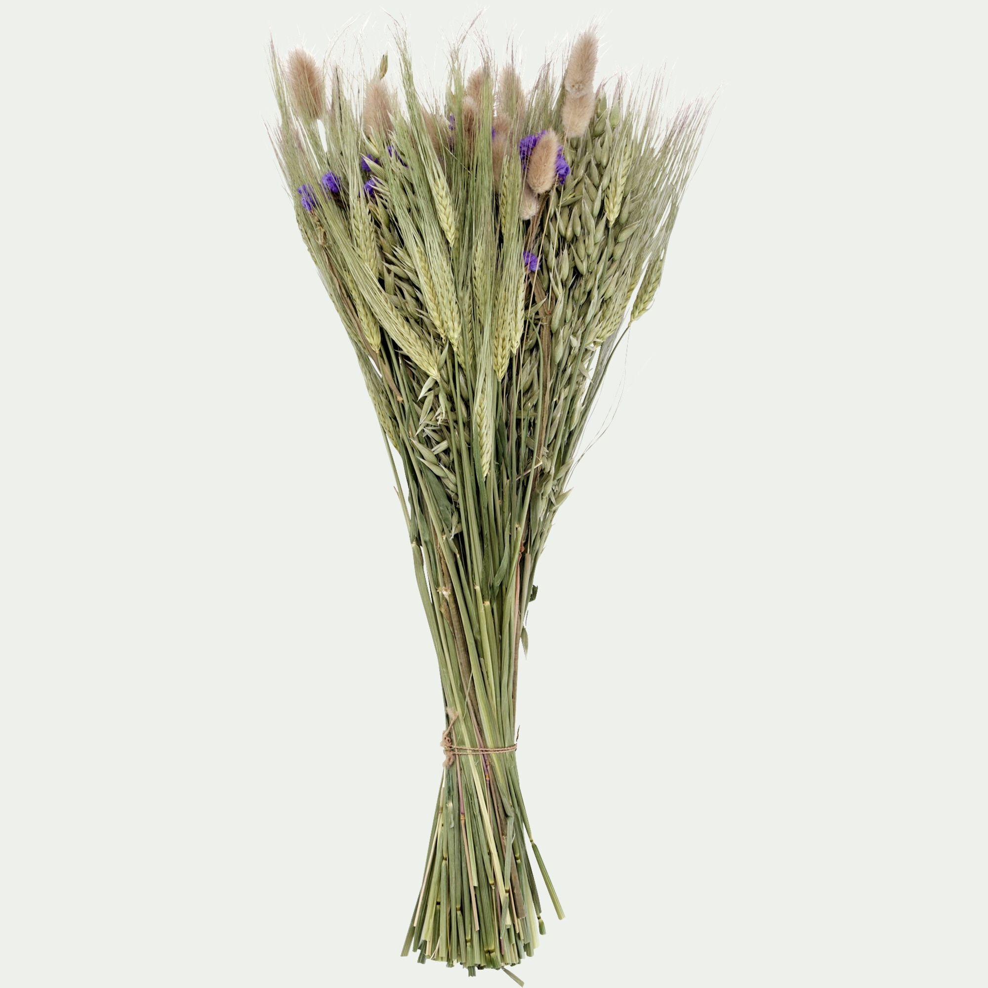 FLORALIE - Bouquet de fleurs séchées 50cm - bleu