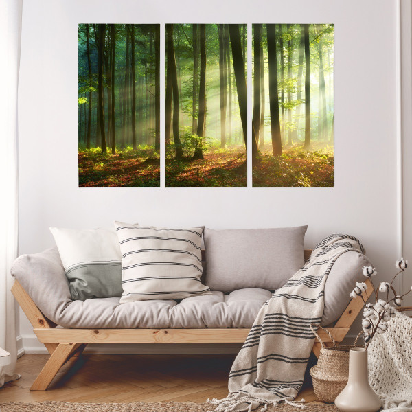 Obraz Tryptyk PROMIENIE SŁOŃCA w Lesie 3D 60x40cm
