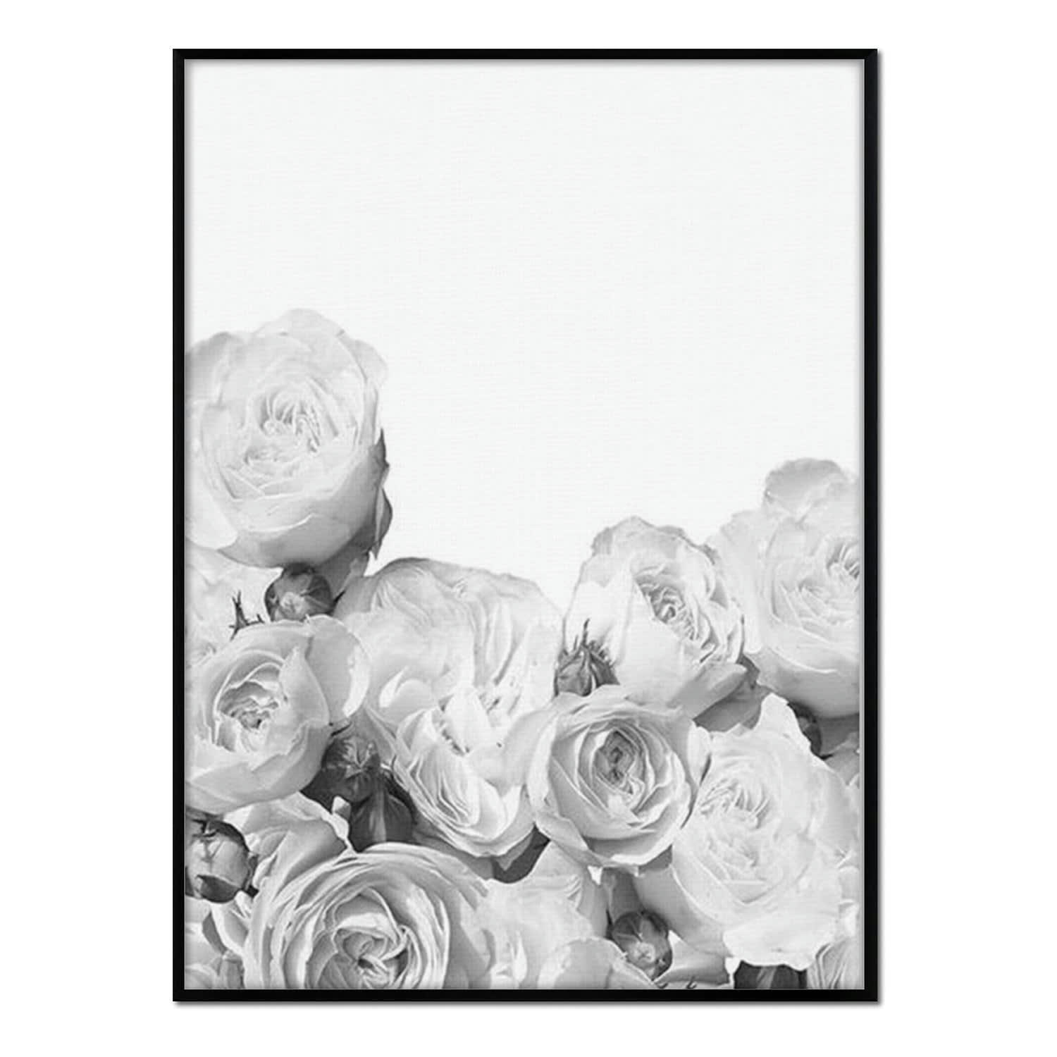 FLORES - Affiche avec cadre noir - Roses en Noir et Blanc - 50x70