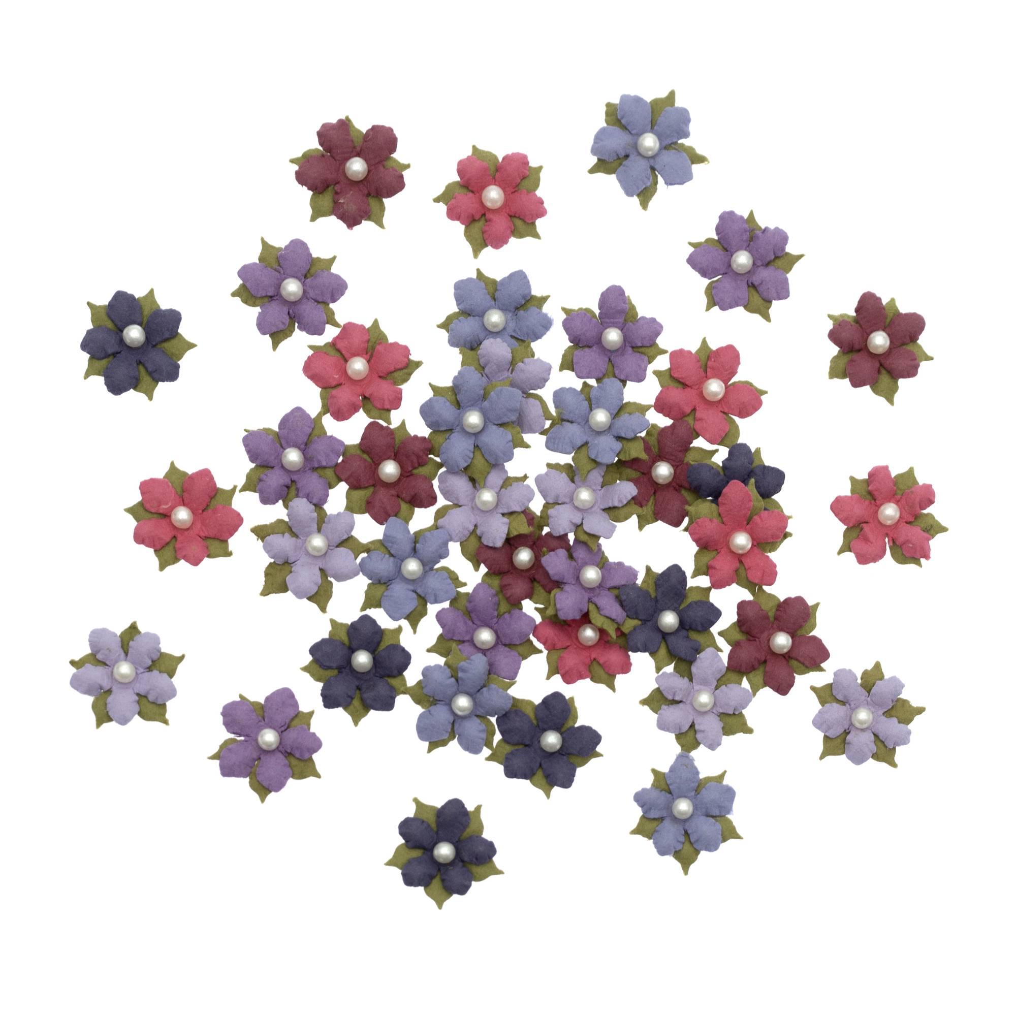 Berry Elira Flowers 40 Pack