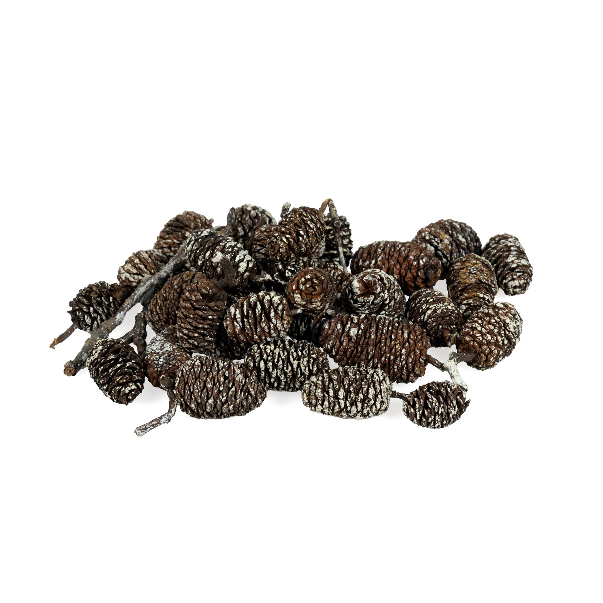 Birch Pinecones 50g