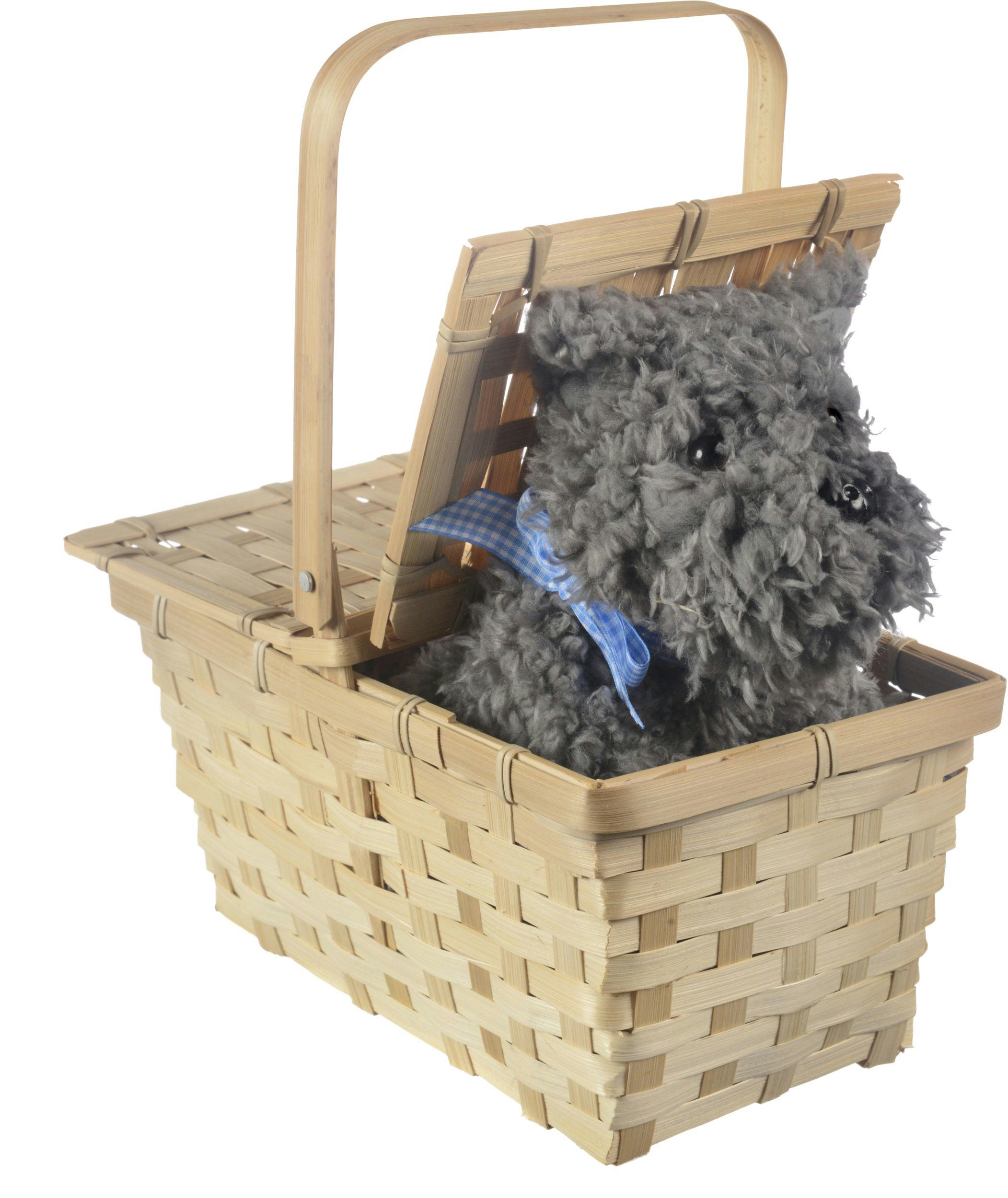 The Wizard of Oz Picnic Basket with Toto Dog, Tan/Black, One Size, Wearable Costume Prop for Halloween