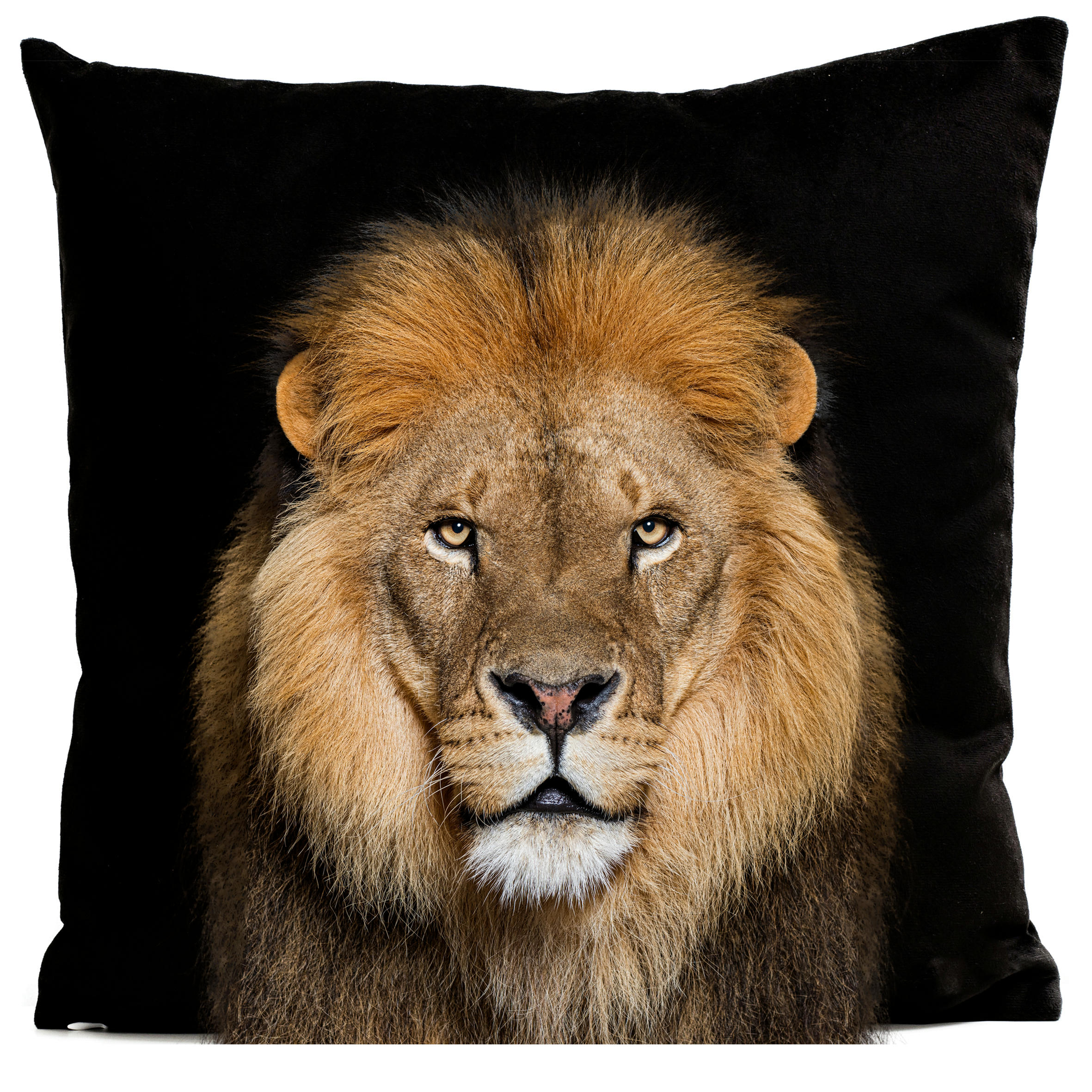 - Coussin animal lion suédine noir 40x40cm