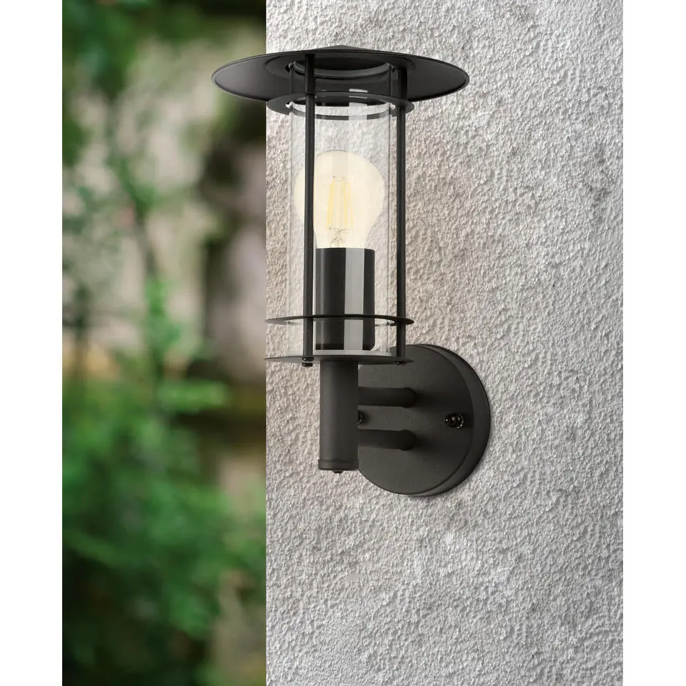 EGLO Lisio 1 Wandlamp - E27 - 30 cm - RVS - Glas - Zwart