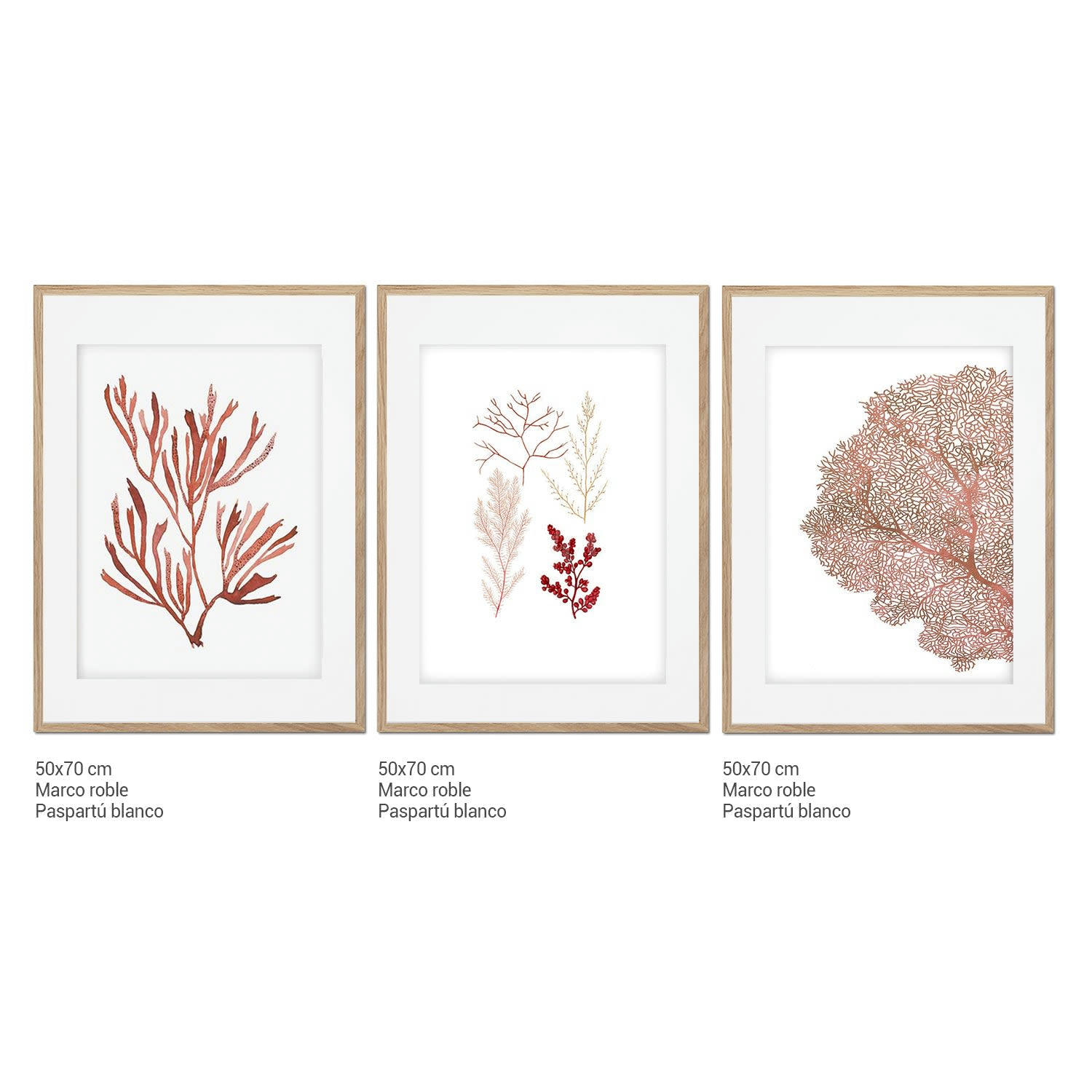 DÉCORATION MURALE - Décoration murale avec cadre en chêne - Botanique