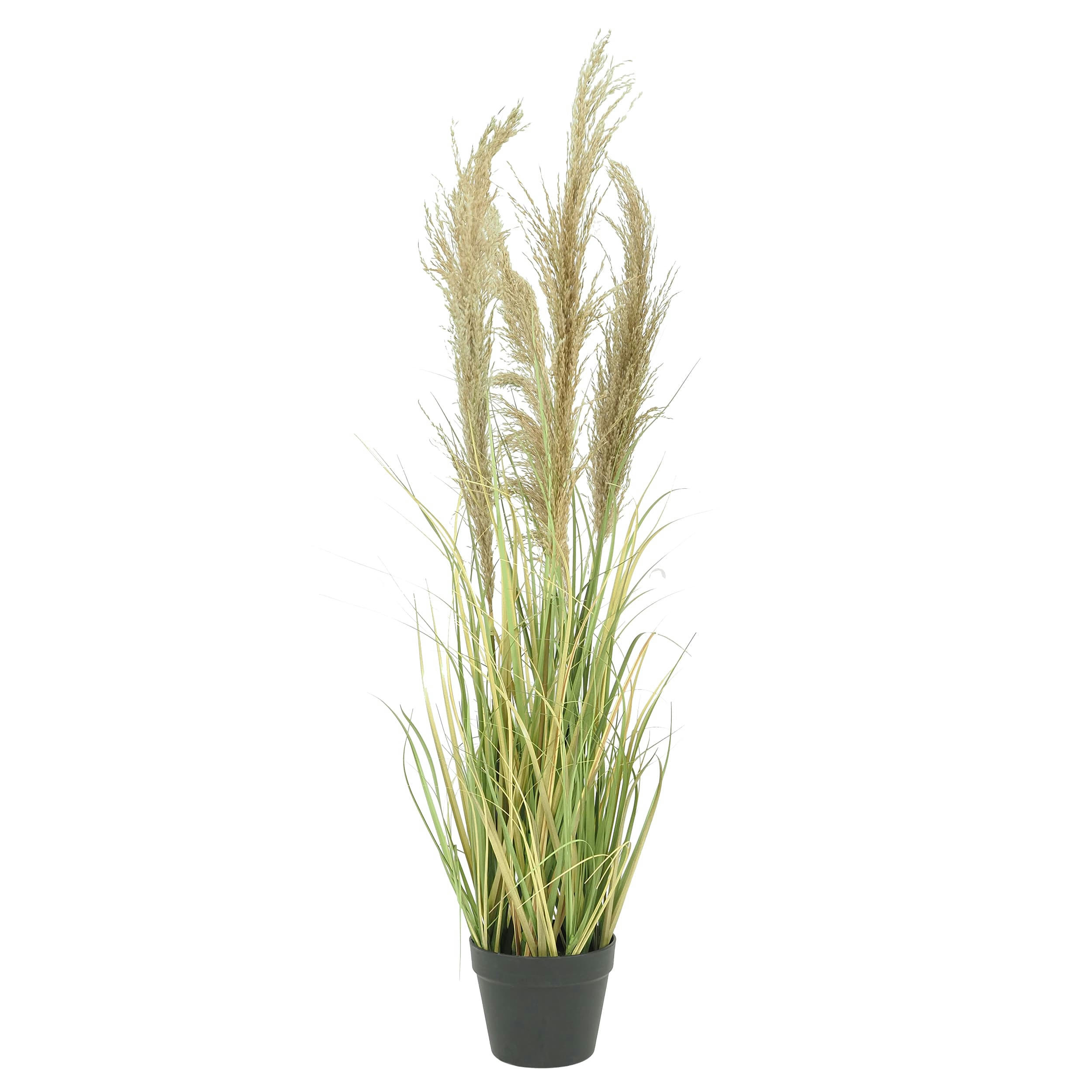 - Herbes de la pampa artificielles 110cm