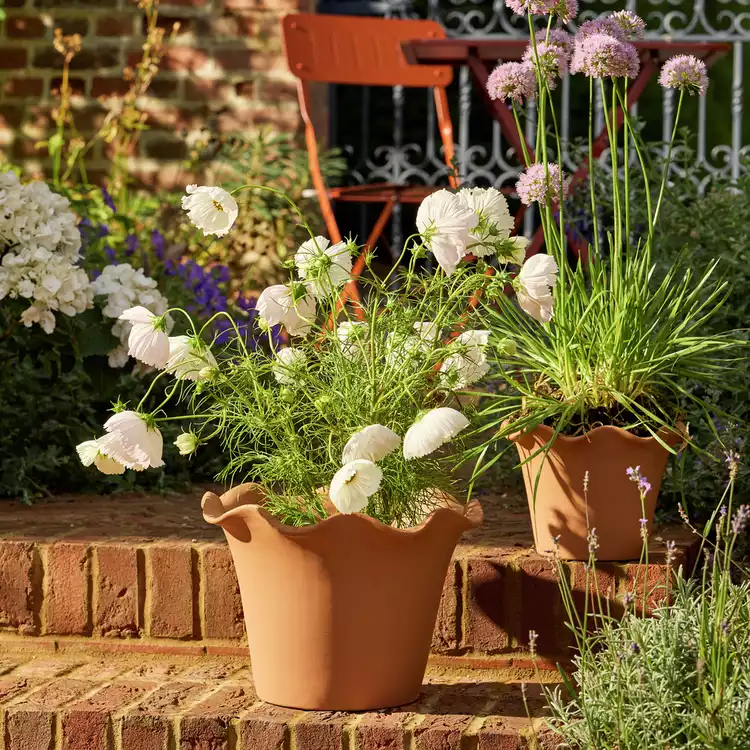 Habitat Scalloped 28.5cm Clay Planter – Large