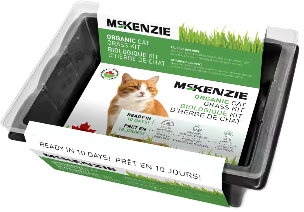 McKenzie, Cat Grass Kit, Aids in cats digestion
