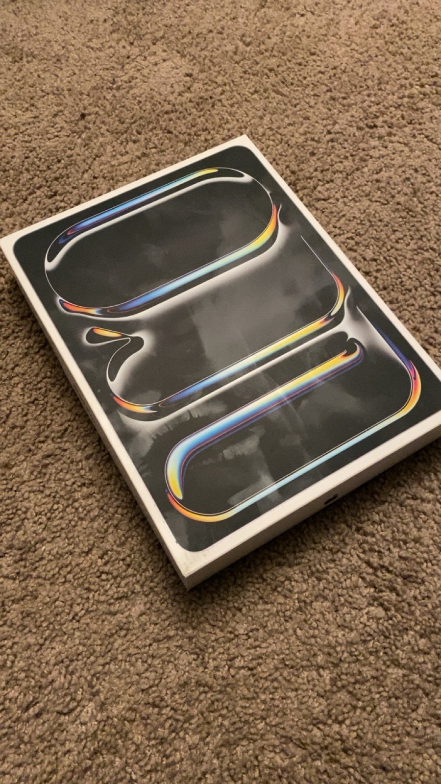iPad Pro 13 inch M4 (2024) 256GB