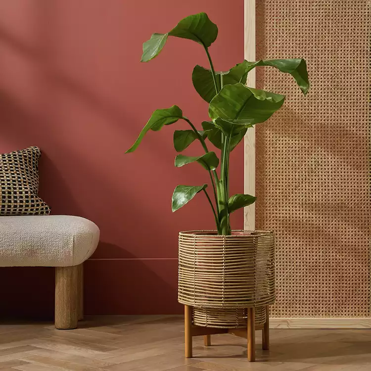 Habitat Large Woven Rattan Planter with Stand - Natural