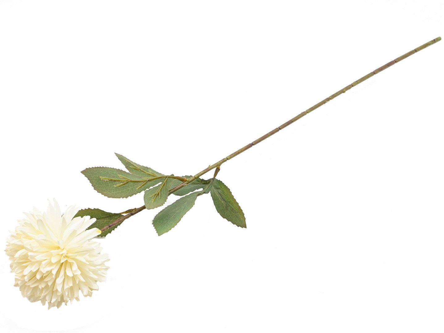 Czosnek gałązka 65 cm biała