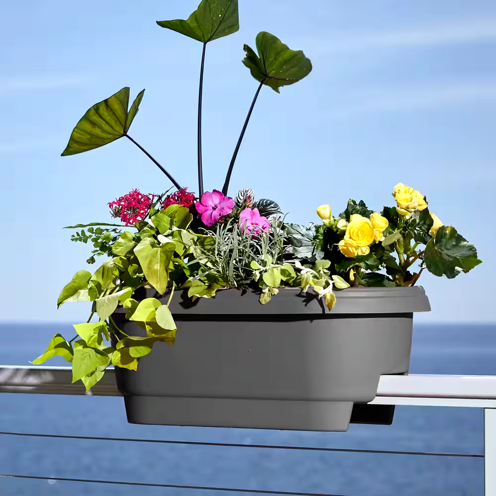 Bloem Classic Plastic Round Deck Rail Planter, 24-in, Assorted Colours