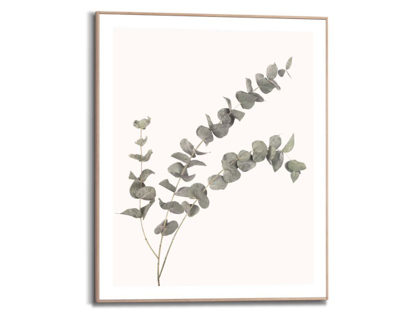 Bild Slim Frame Wood Eukalyptus 2