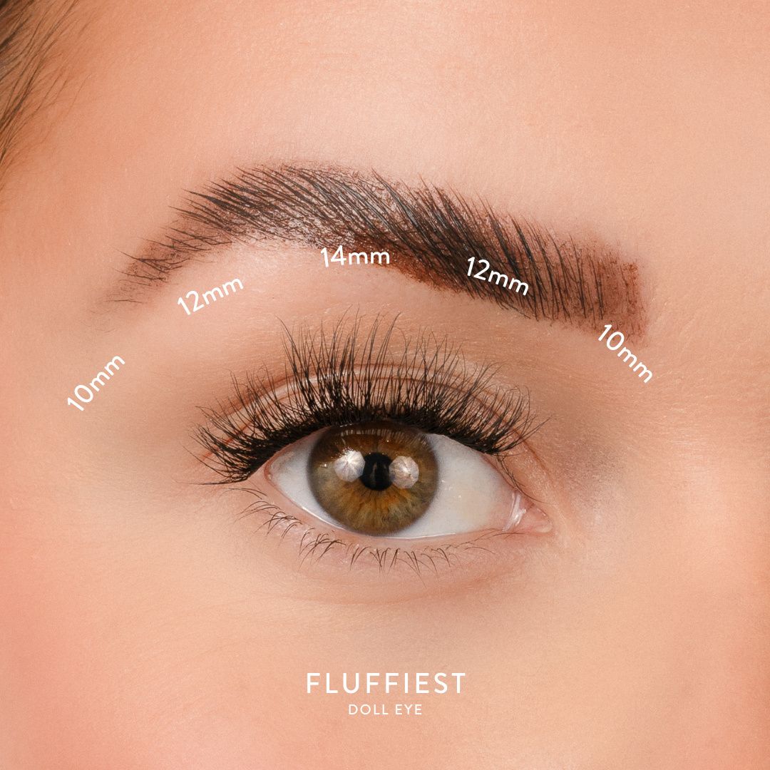 House of Amor What The Fluff! QuickLashes - FLUFFIEST