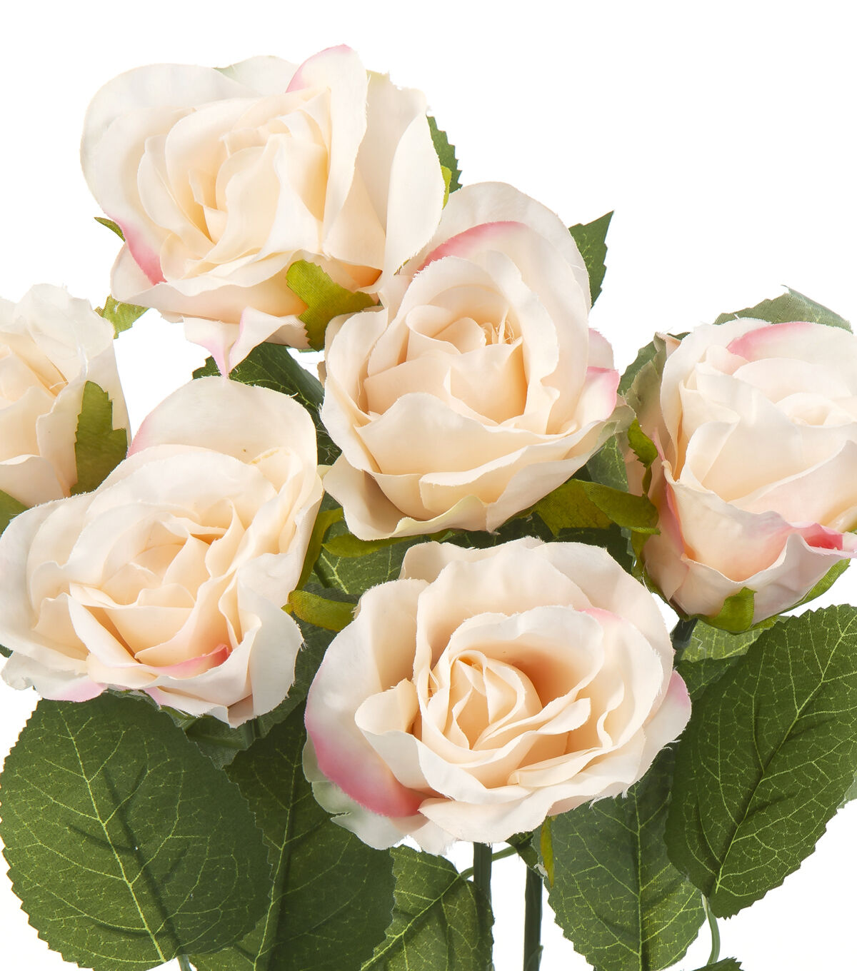 17 Pink & Cream Rose Bush by Bloom Room