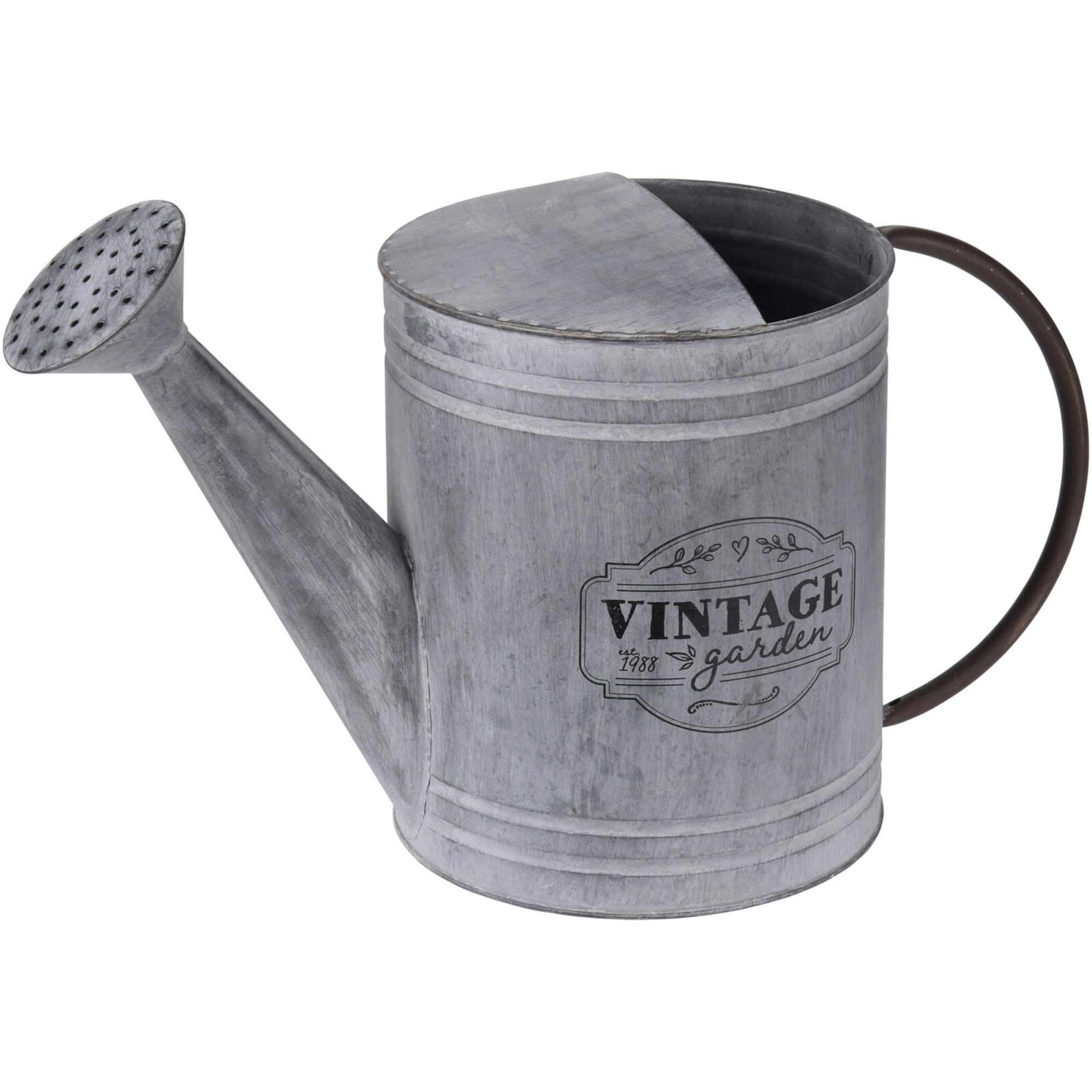 - Arrosoir en zinc déco