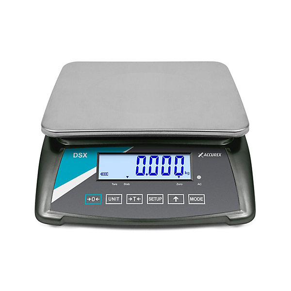 Balance Industrielle de Table Accurex Série DSX - Gram - l30- L0.1- P34.5- h10.7- Acier Inoxydable