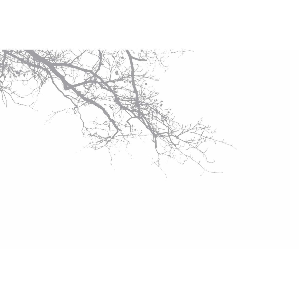 - Papier peint panoramique abstract branch 300 x 250 cm