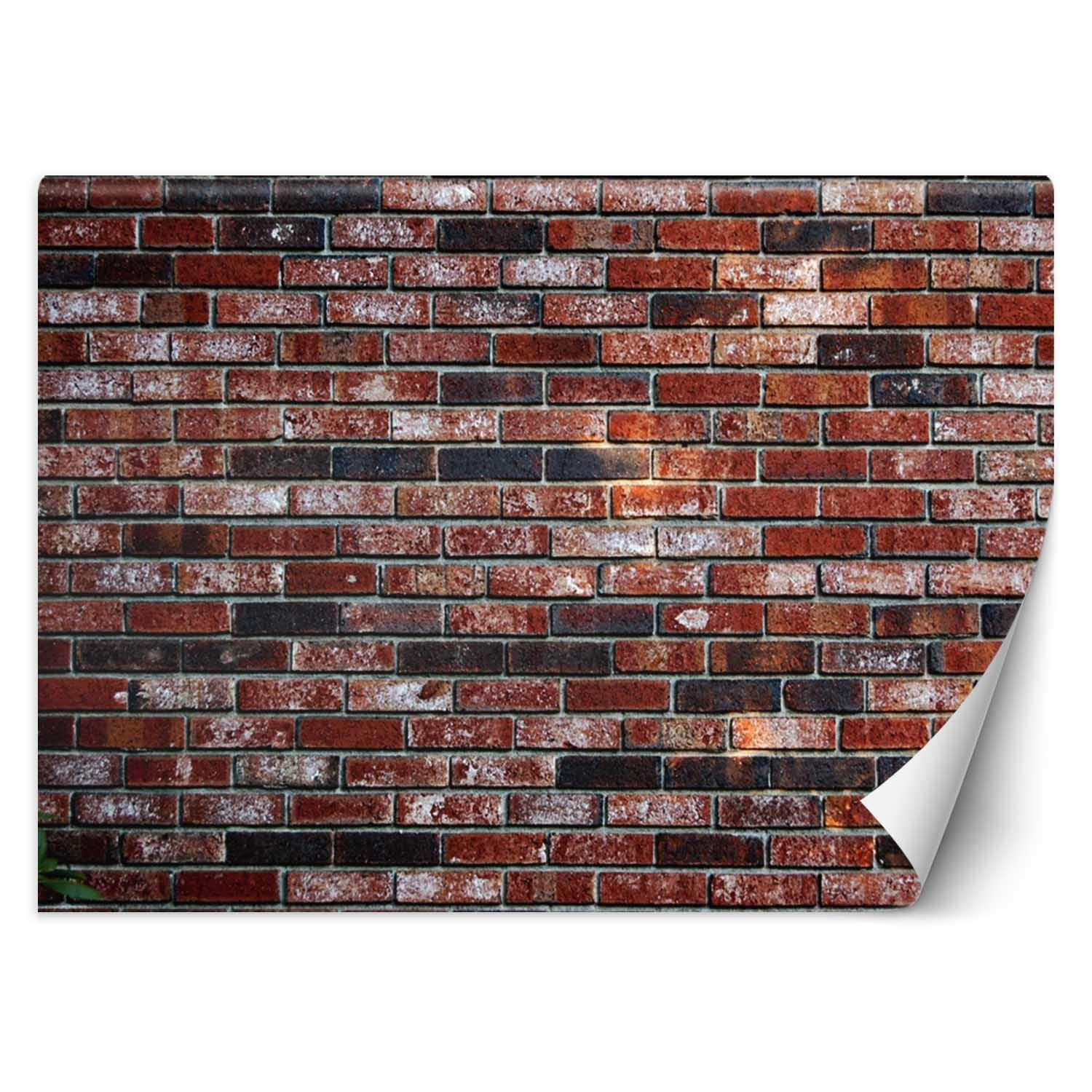 Feeby Fototapeta, Mur z czerwonej cegły 150x105