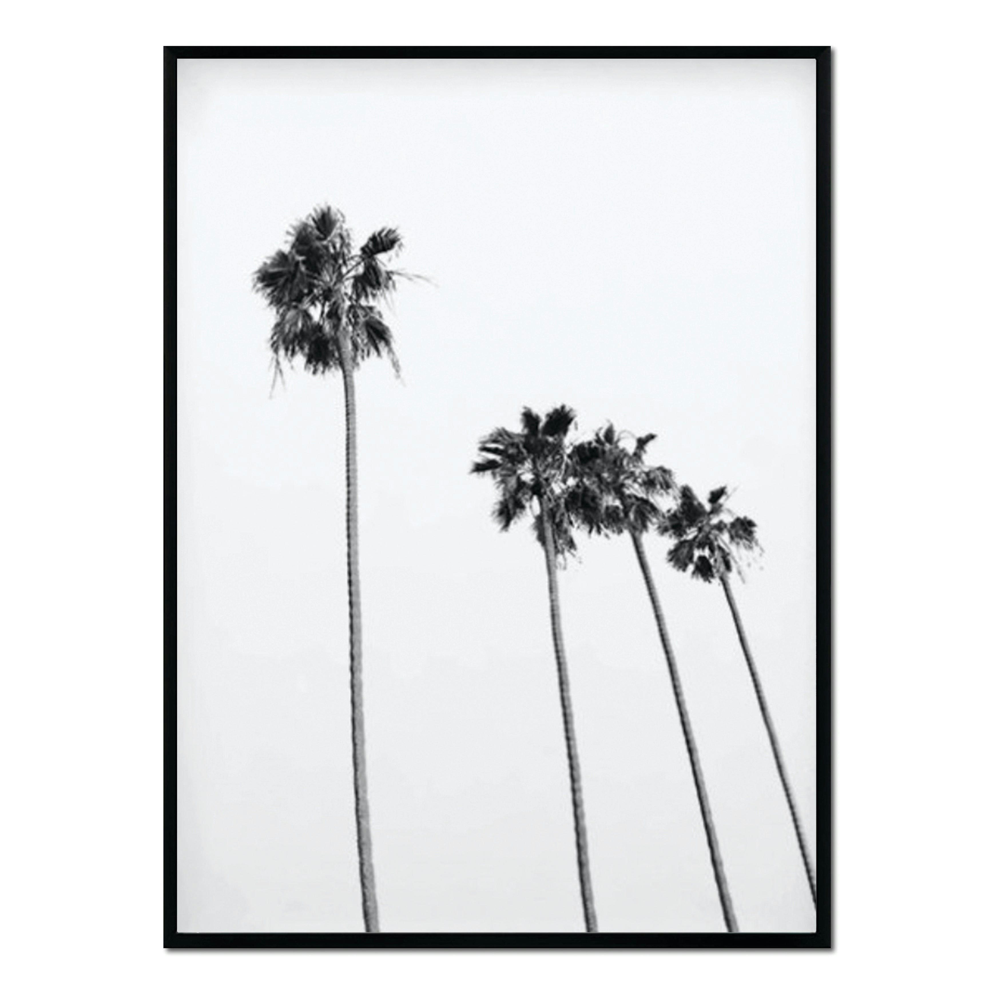 BW - Affiche avec cadre noir - Palmiers avec perspective - 50x70