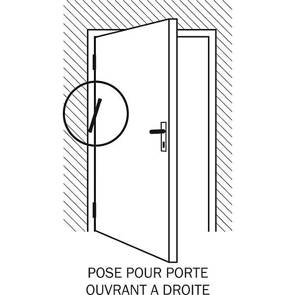 Ferme‑porte à recouvrement Diall pour portes intérieures jusqu'à 60 kg maxi en acier longueur 280 mm