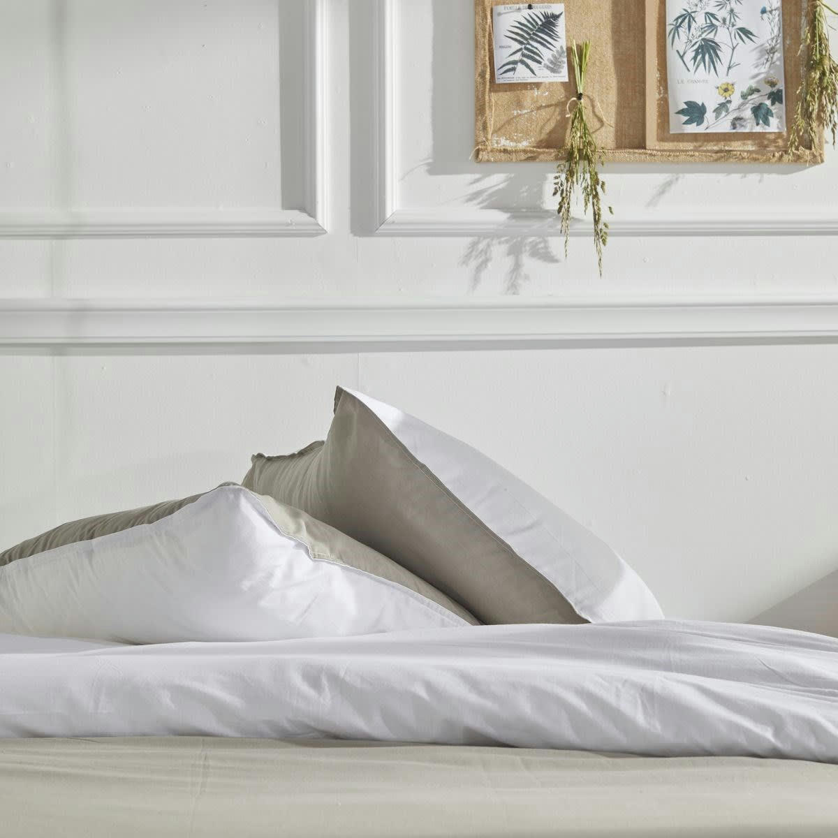 CHARME BERENICE - Parure de lit en coton beige 240x220