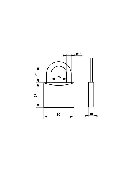 Cadenas à clé, extérieur, alu, 50mm, anse acier nickelé, 2 clés - THIRARD