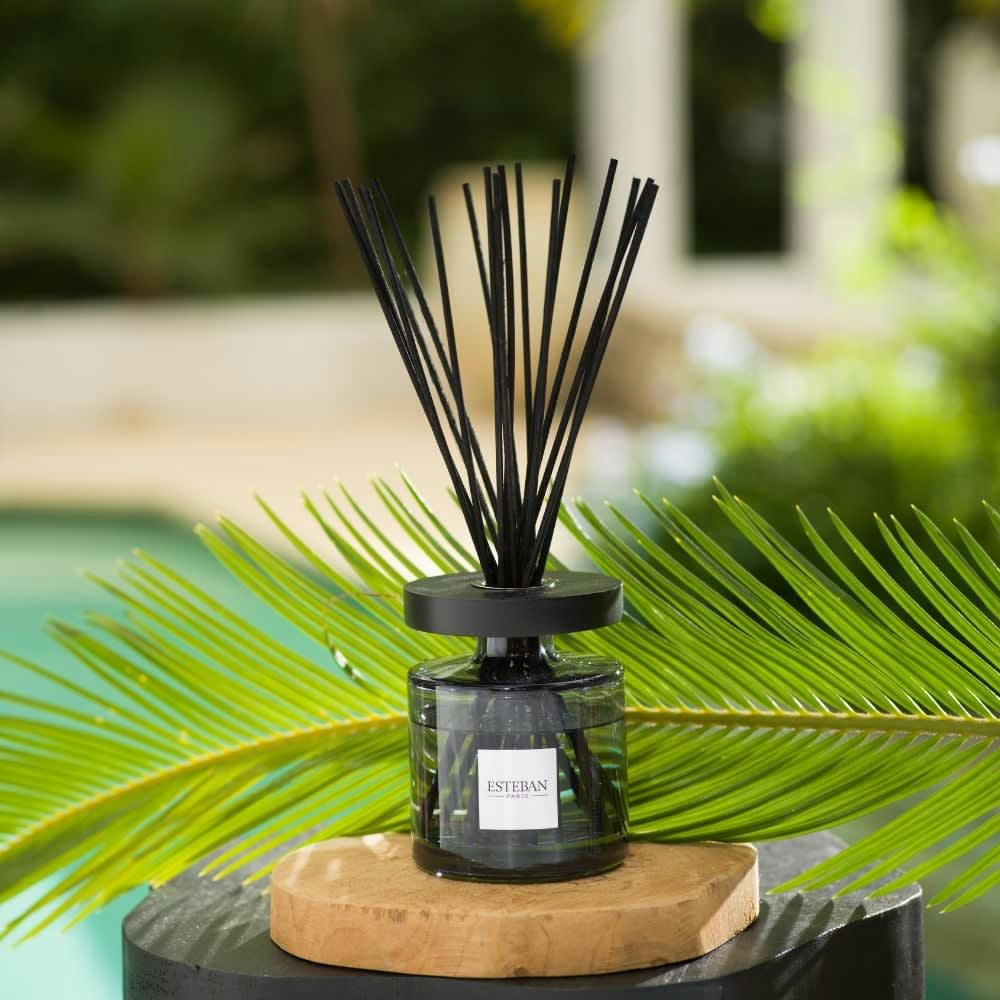 LIN & PETITGRAIN - Recharge bouquet 250ml