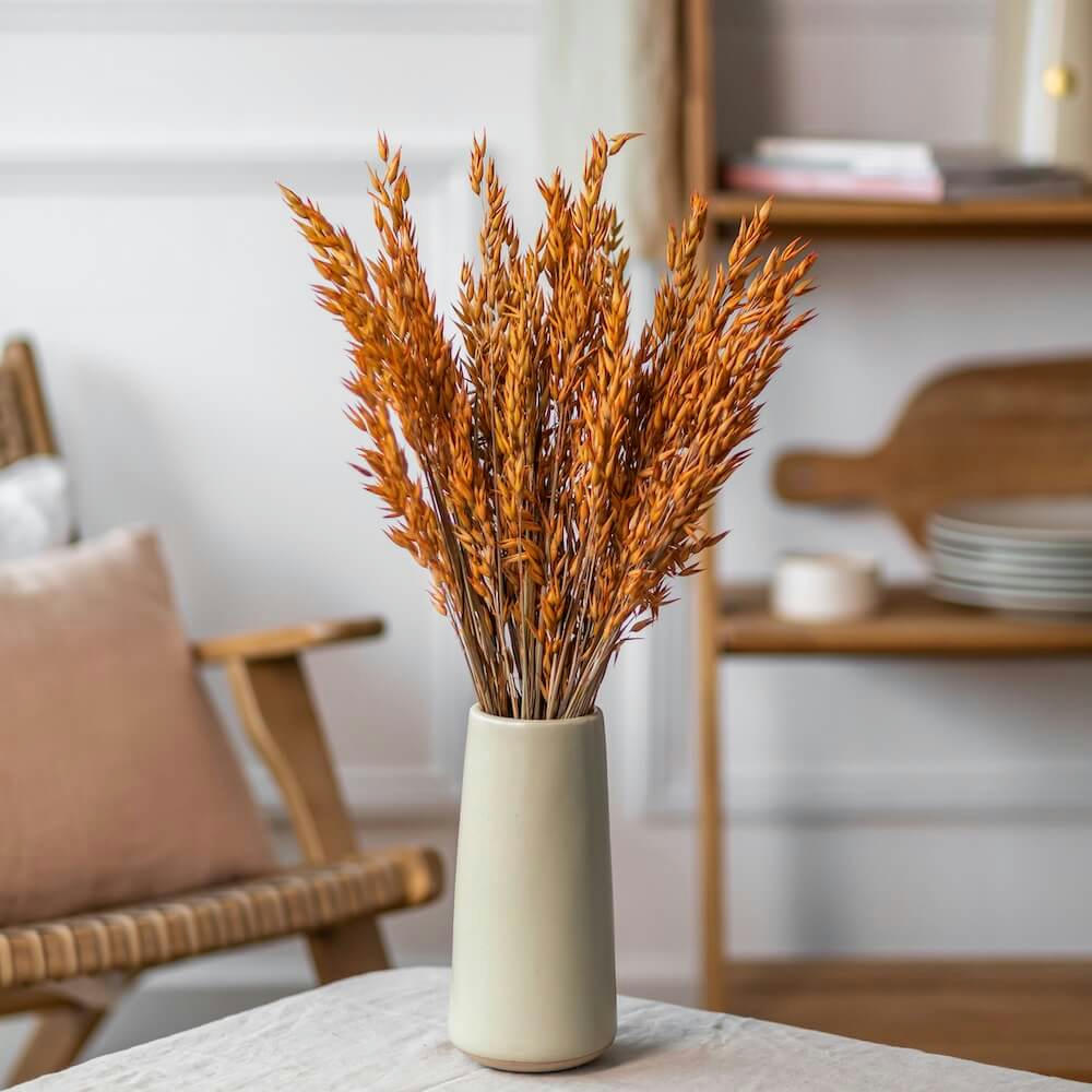 - Botte Avoine orange