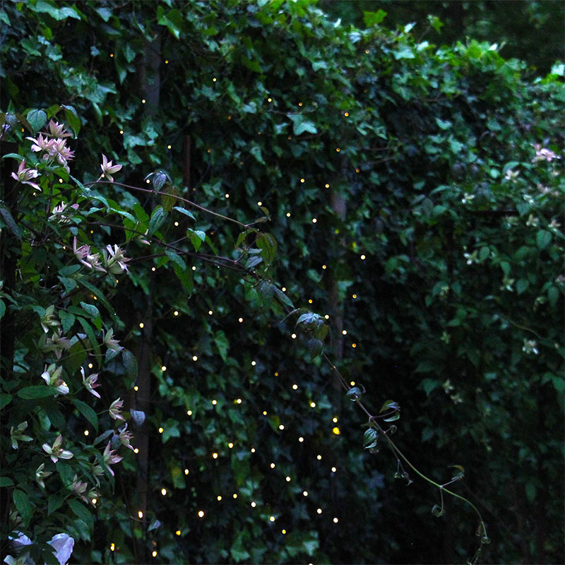Ljusnät Net - LED Garden Plug & Play