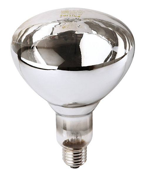 Ampoule PHILIPS IR à vis blanche 150W