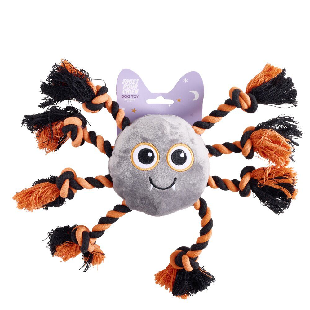 Jouet pour chien araignée Halloween corde et noeuds 15x12xH5cm