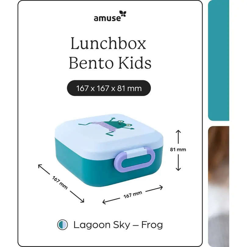 Lunch-Box Rikko