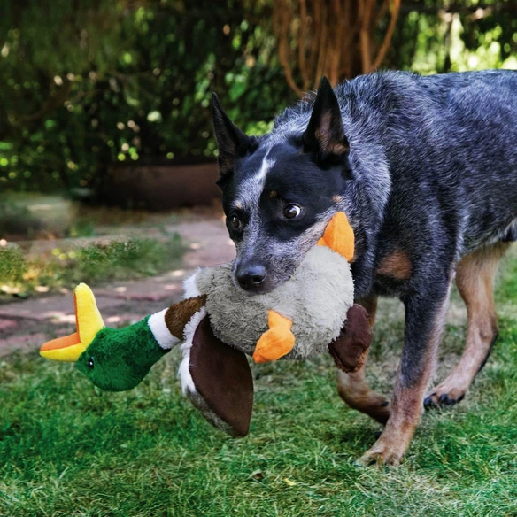 Hundespielzeug, mehrfarbig
