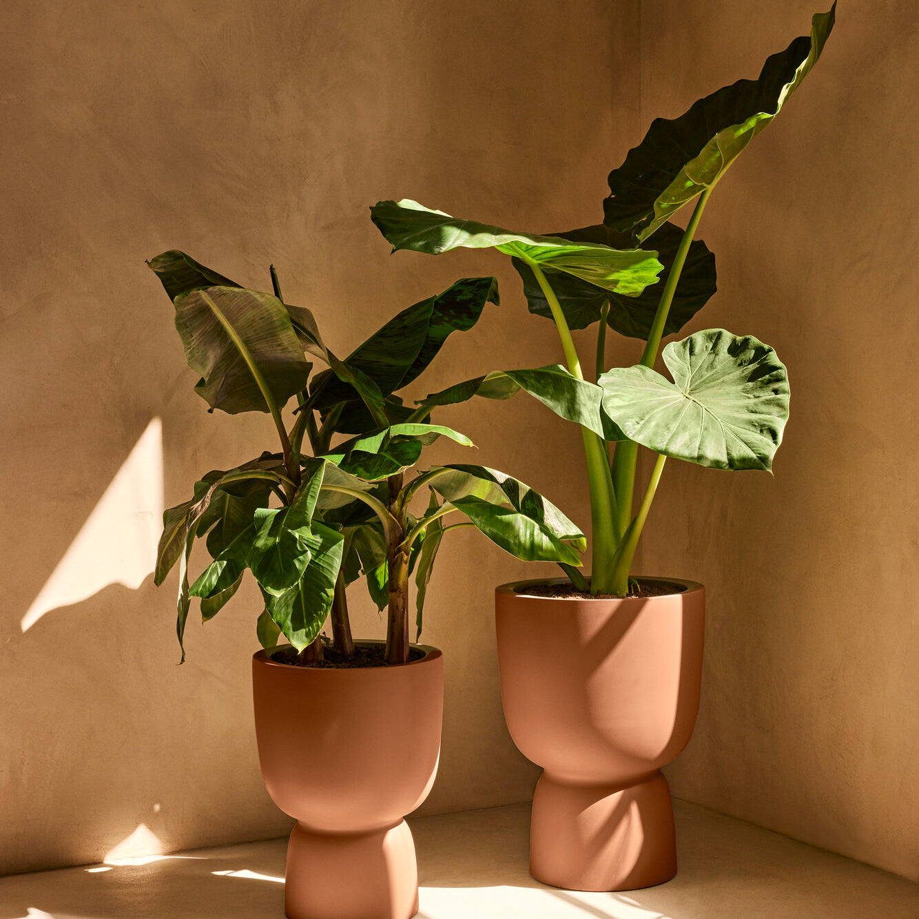 Elho Amber Coupe Round 41 - Karamel - L 41 x B x H 58 cm - Binnen en B