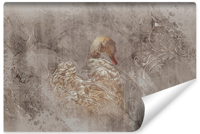 Fototapeta Abstrakcyjny Łabędź Vintage 90x60cm