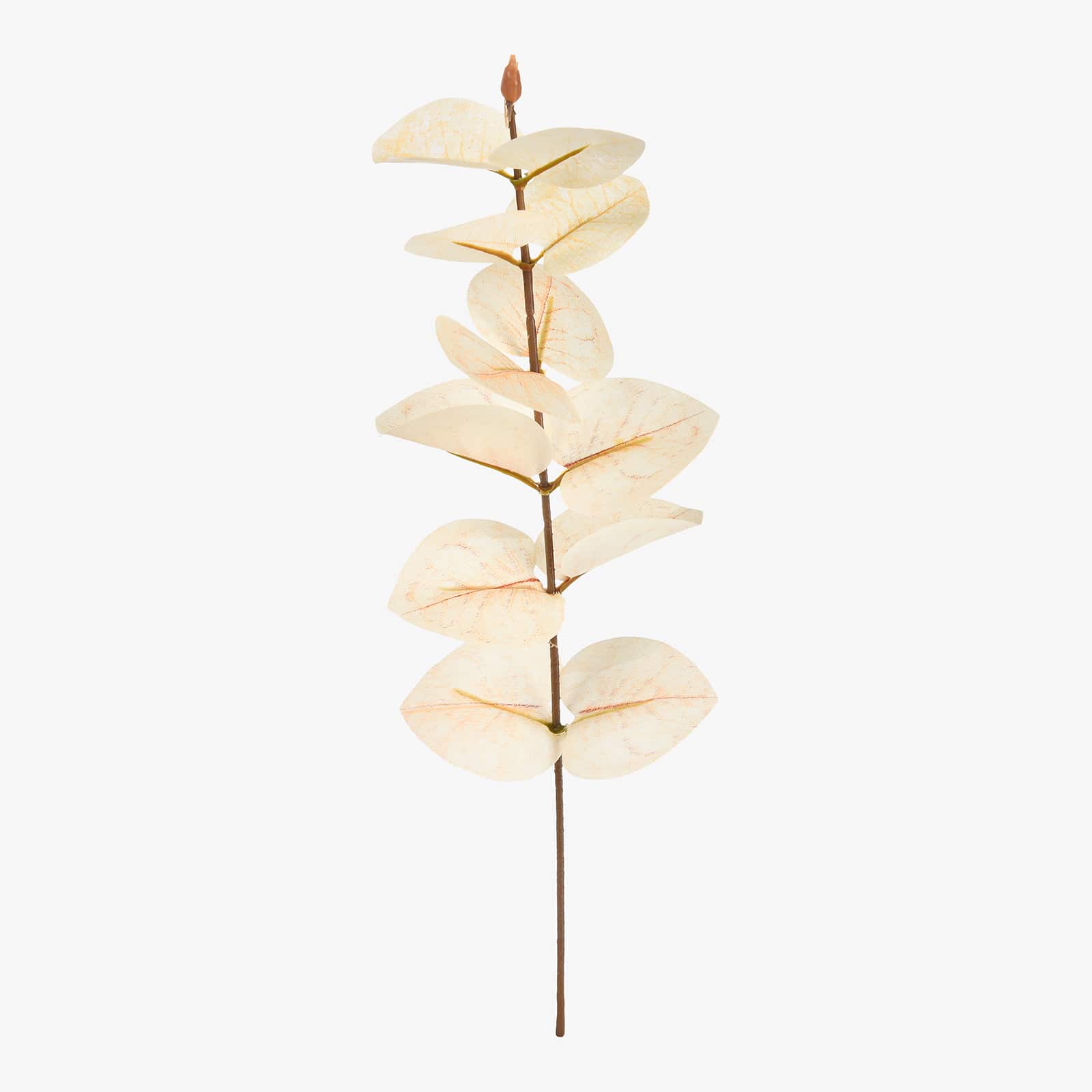 Kunstzweig Eukalyptus Beige,L 270 mm