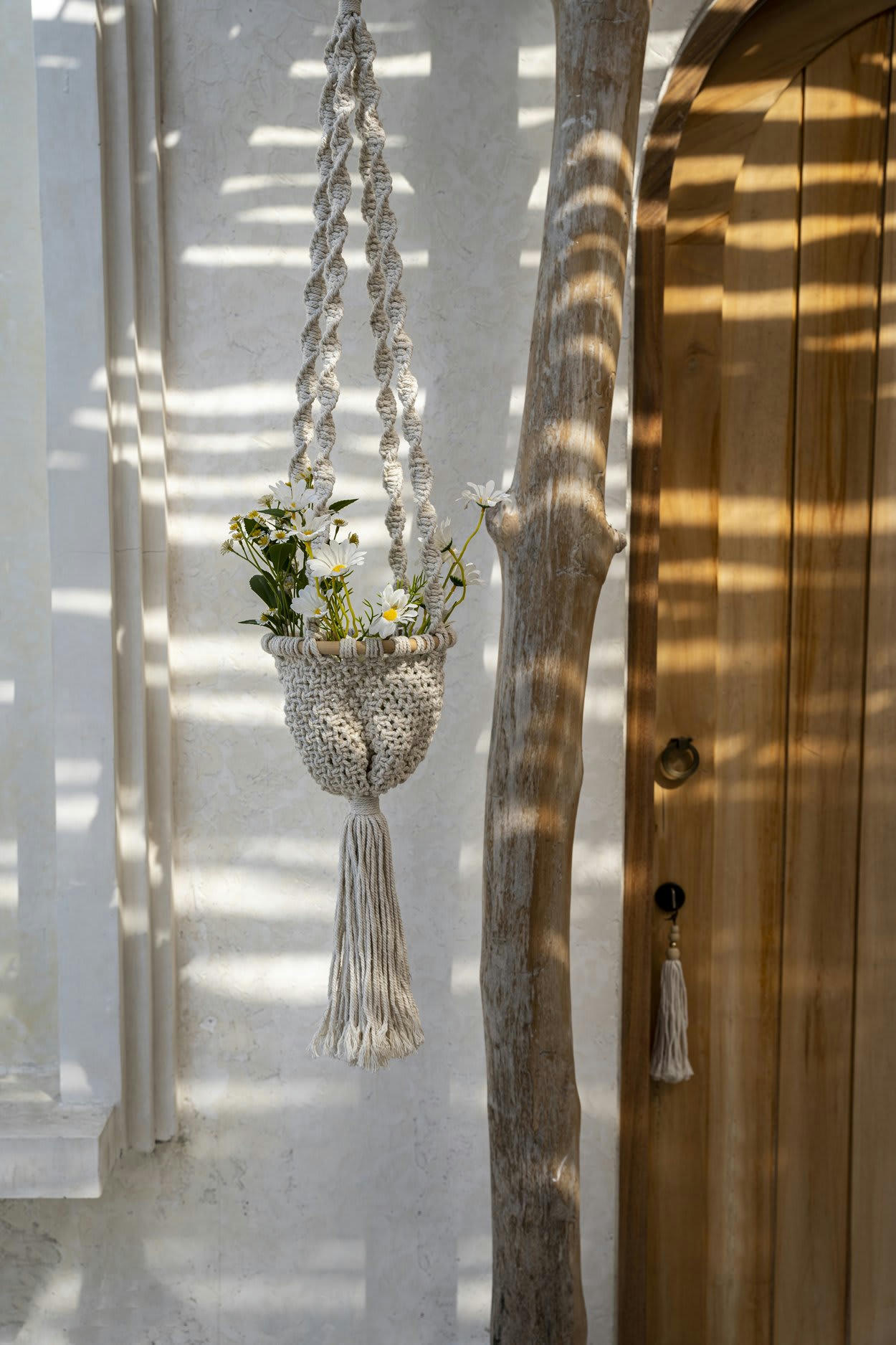 TWISTED - Suspension de plantes en coton blanc naturel moyen