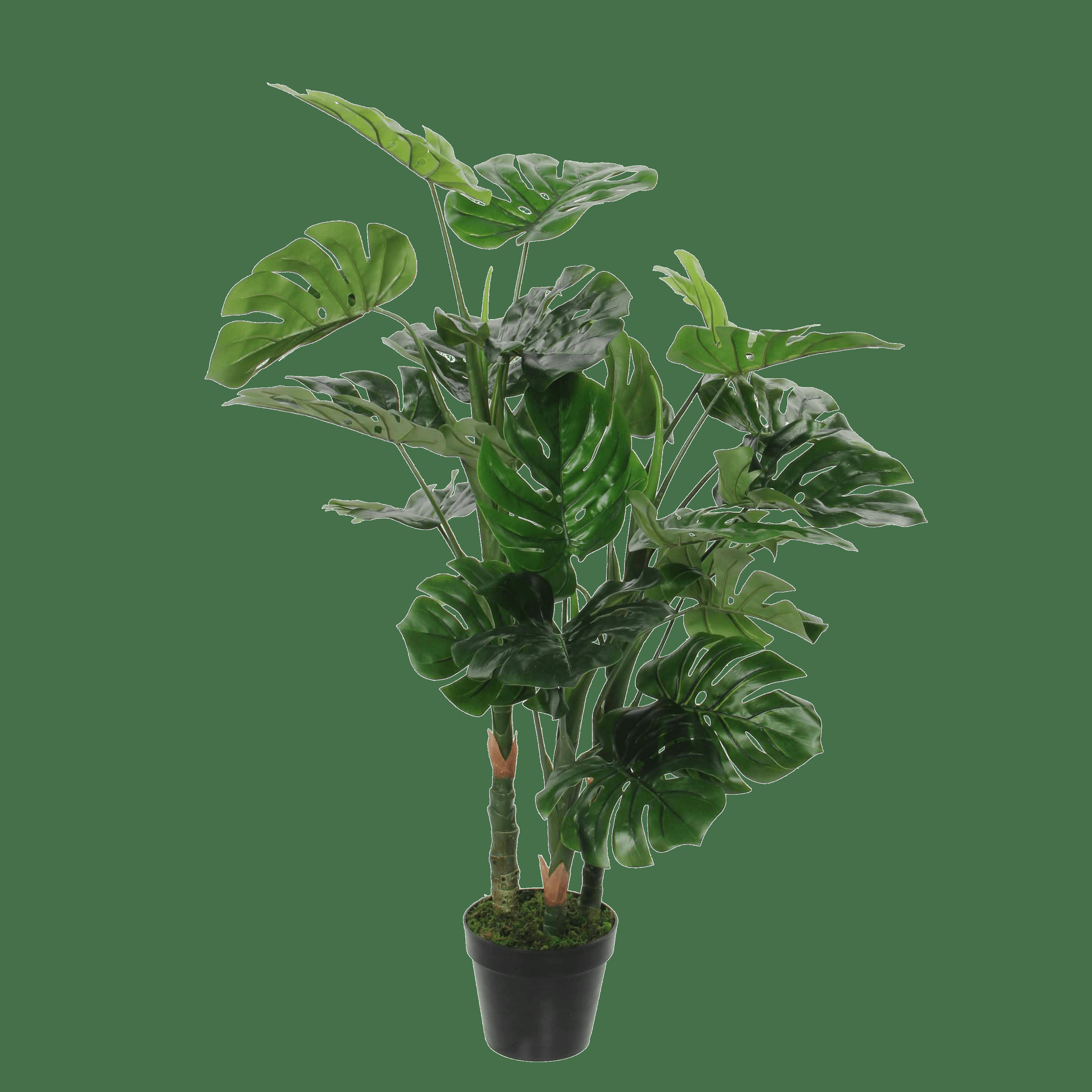 - Monstera artificielle en pot H100