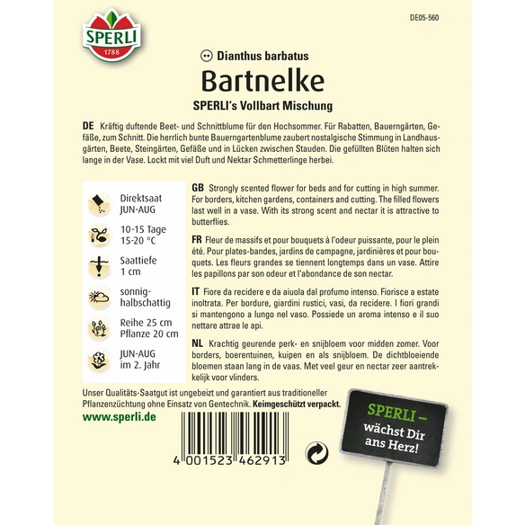 Bartnelke »SPERLI's Vollbart Mischung«, zweijährig, gefüllte Duftpflanze, Höhe ca. 60 cm