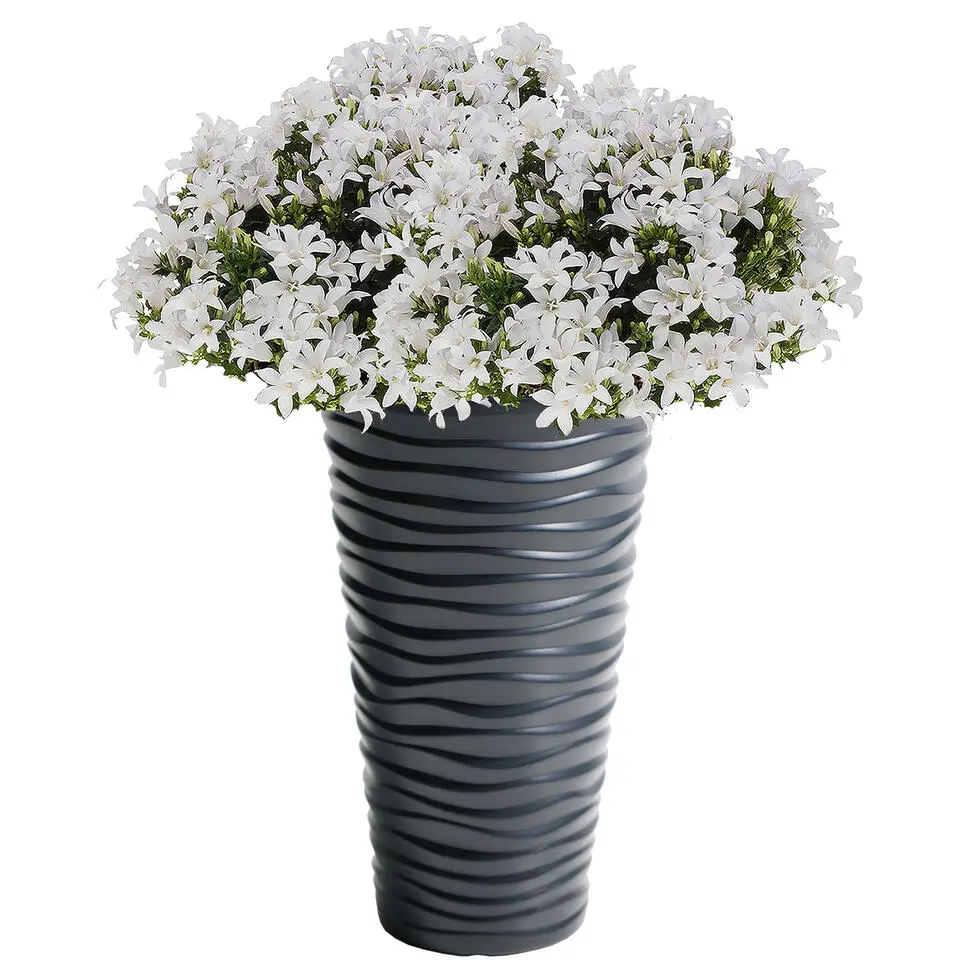 Prosperplast Bloempot Sand - antraciet - kunststof - D30 x H52 cm