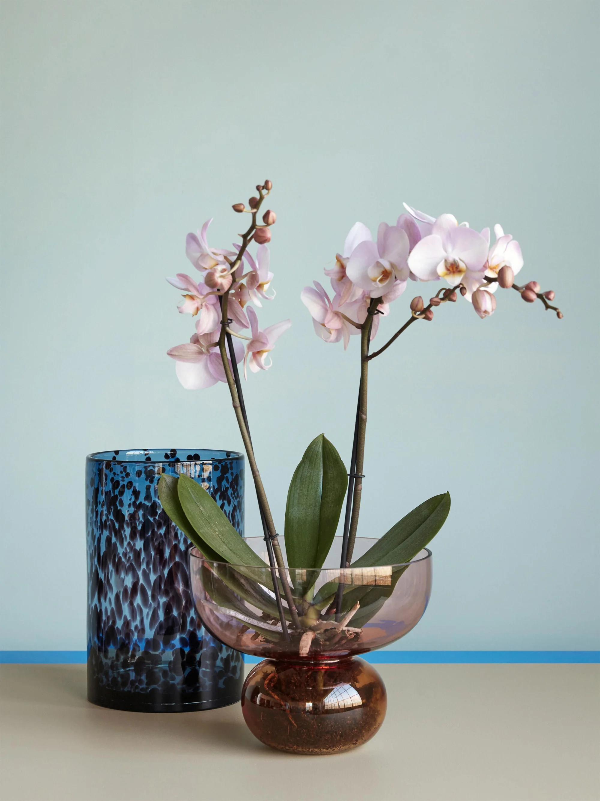 Mundgeblasene Design-Vase Show, H 21 cm