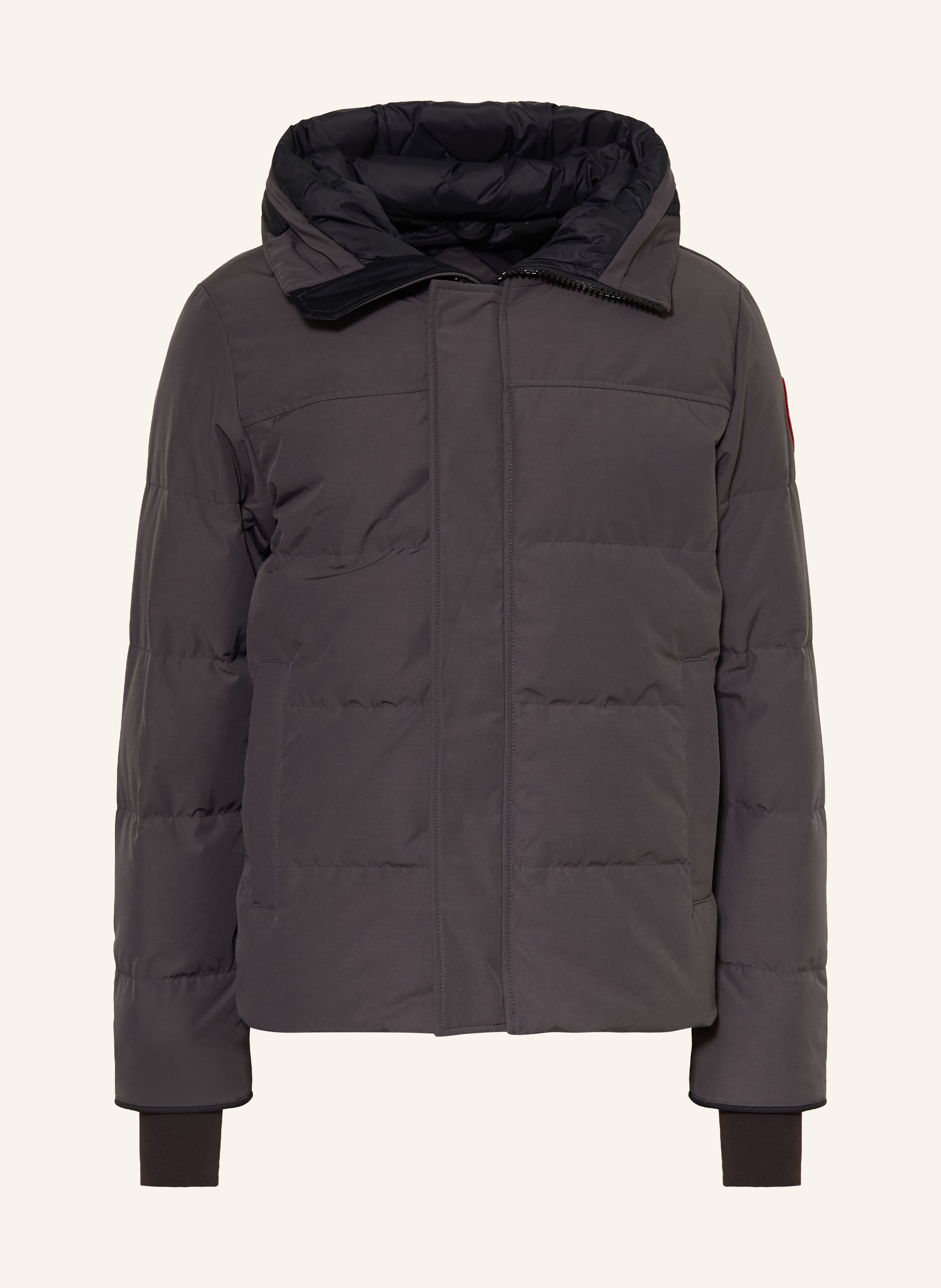 CANADA GOOSE Daunenjacke MACMILLAN