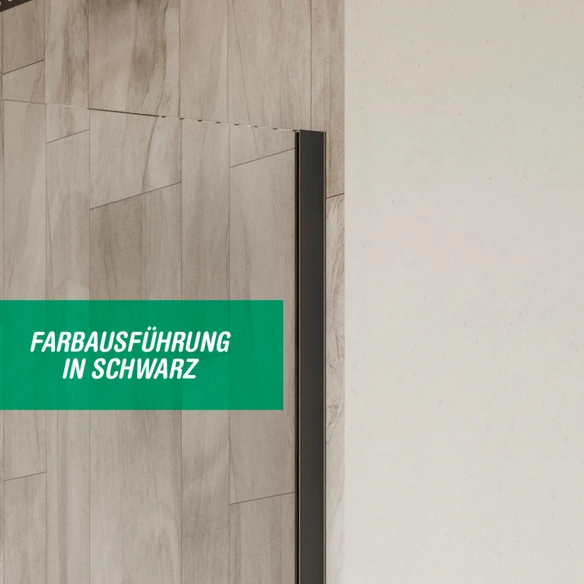 Schiebetür »S9«, Für Walk-In, BxH: 120 x 200 cm, Klarglas, schwarz