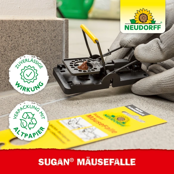 Mausefalle »Sugan«, Stahl/Kunststoff
