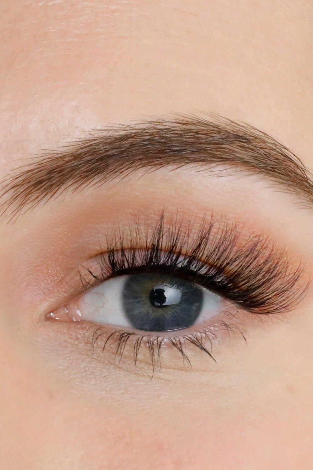 Lola's Lashes "Tabby" Strip Half Lashes