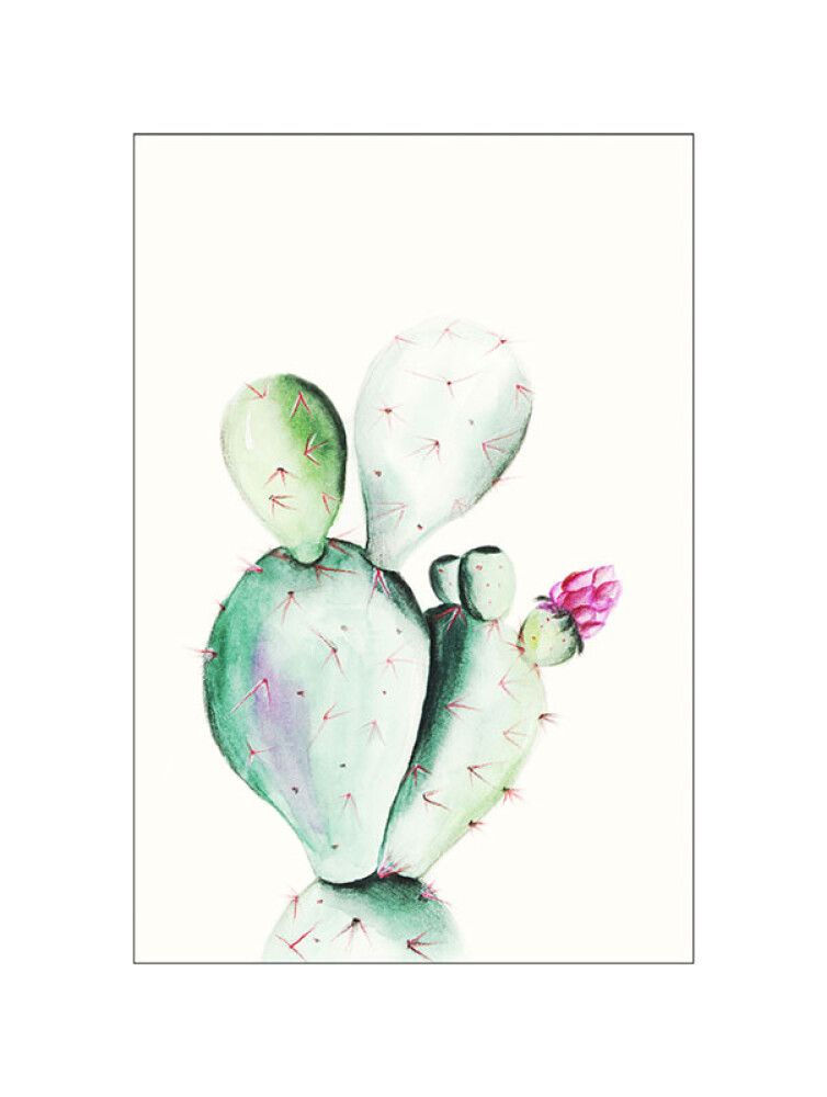 POSTER KOMAR PRICKLY PEAR WATERCOLOR 30 X 40 CM