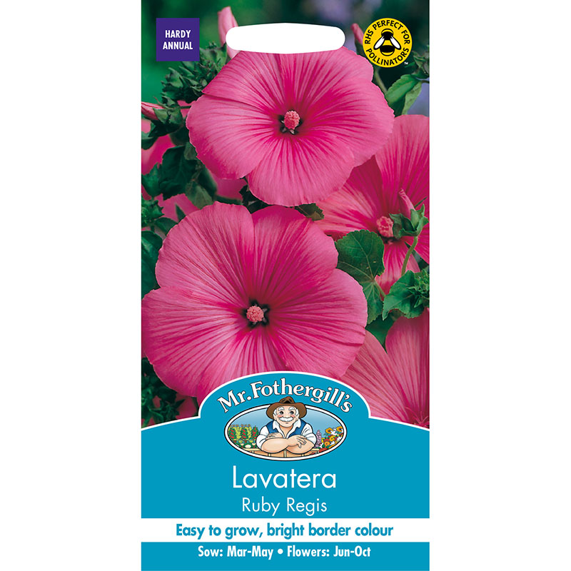 Sommarmalva 'Ruby Regis'