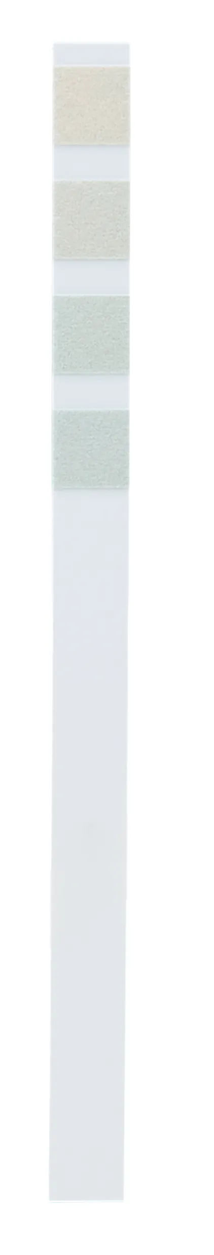 WMF Perfection Descaler